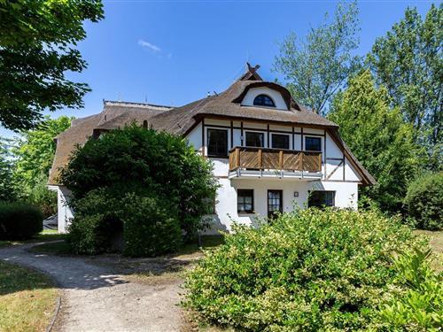 Ferieleilighet - 5 personer -  - Weg zum Hohen Ufer - 18347 - Ahrenshoop