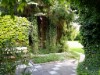 Bilde 6