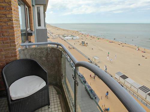 Holiday apartment - 4 persons -  - Zeedijk - 8400 - Oostende