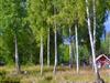 Bild 44 - Aussen