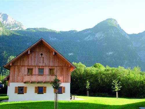 Holiday Home/Apartment - 2 persons -  - 4831 - Obertraun