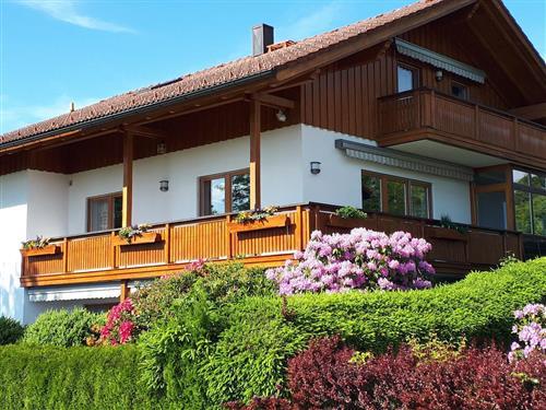 Ferielejlighed - 4 personer -  - Augustinerstr. - 94227 - Zwiesel