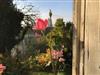 Bilde 35