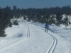 Bild 8 - Ude