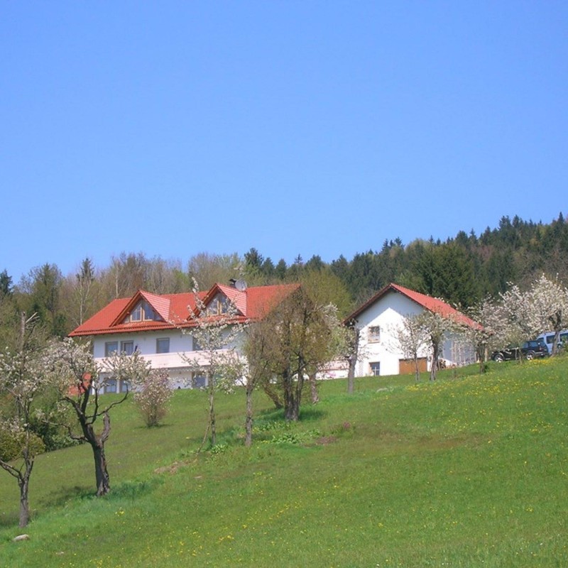 Ferielejlighed - 6 personer -  - Ranzingerberg - 94551 - Lalling