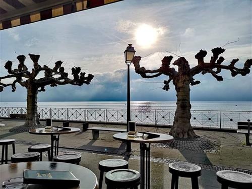 Ferielejlighed - 2 personer -  - Unterstadtstraße - 88709 - Meersburg