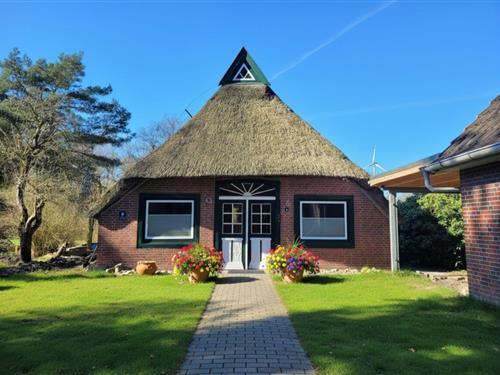 Sommerhus - 4 personer -  - Norderfeld - 26919 - Brake