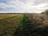 Image 26