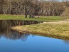 Billede 15 - Udsigt over vand