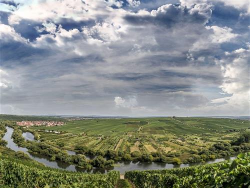 Holiday apartment - 2 persons -  - Mainstr. - 97334 - Nordheim Am Main