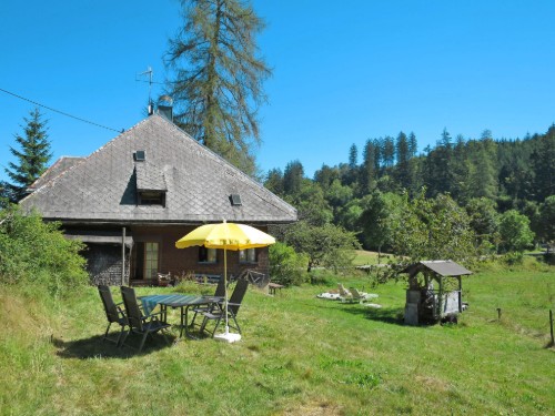 Sommerhus - 6 personer -  - 79856 - Hinterzarten