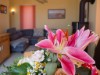 Bild 13 - Inde