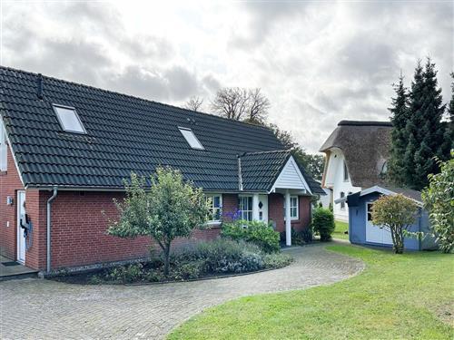 Ferienhaus - 10 Personen -  - Redewischer Straße - 23946 - Boltenhagen