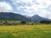 Bild 24