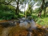 Image 23