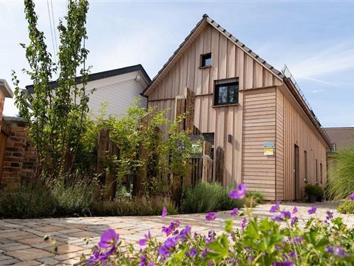 Ferienwohnung - 2 Personen -  - Elsteraue - 02977 - Hoyerswerda