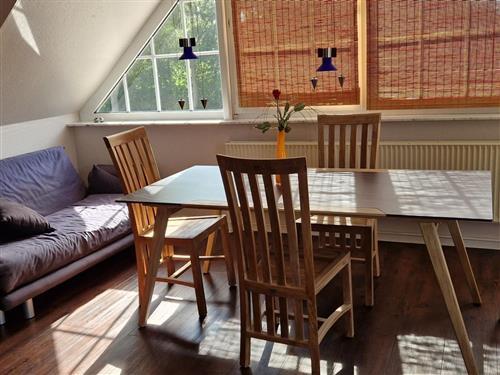 Ferienhaus - 5 Personen -  - Schulstrasse - 25377 - Kollmar