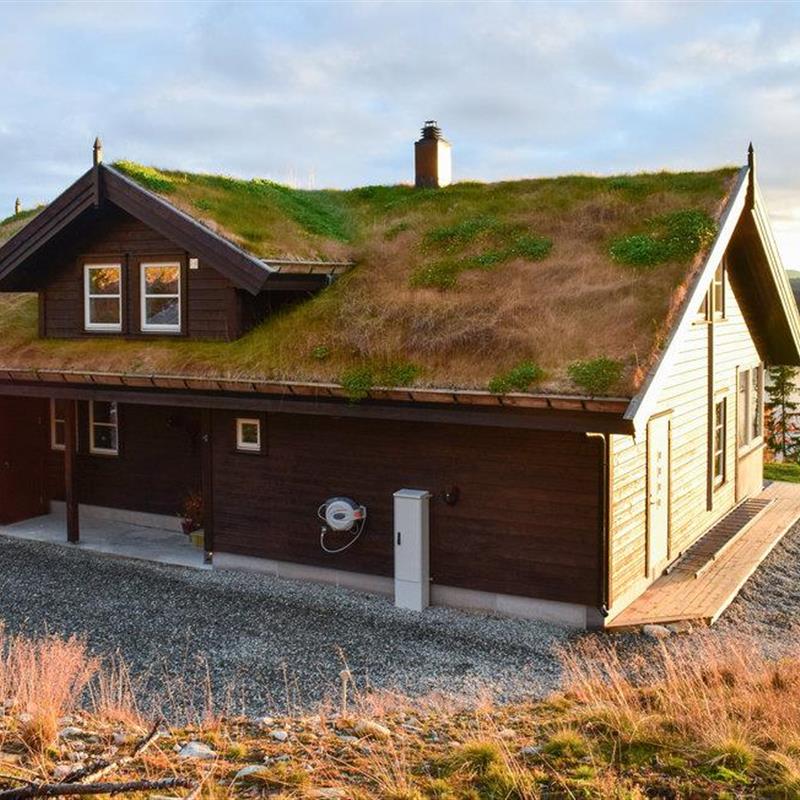 Sommerhus - 14 personer -  - Breivassvegen - Telemark/Hjartdal - 3690 - Hjartdal
