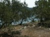 Bilde 6