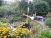 Image 14