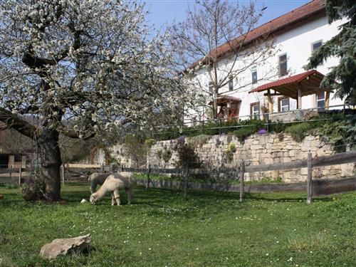 Ferielejlighed - 4 personer -  - Camburg - 07774