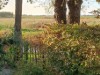 Bild 17