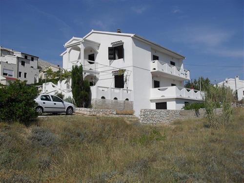 Holiday apartment - 4 persons -  - Petra Hektorovica - 23250 - Pag