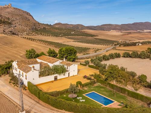 Ferienhaus - 4 Personen -  - Puntal,C.Ronda-Campillos s/n - 29327 - Teba