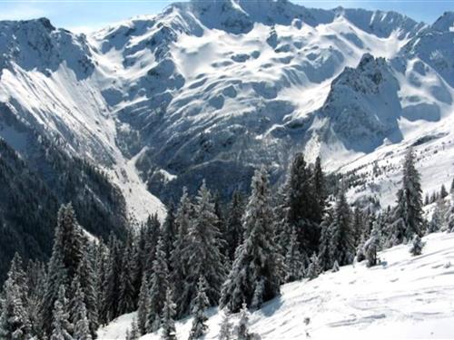 Semesterlägenhet - 5 personer -  - 38580 - La Ferriere