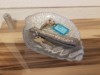 Bild 21
