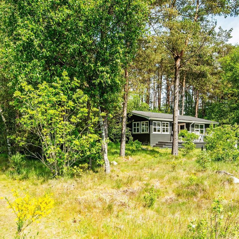 Ferienhaus - 6 Personen -  - Tyttebærvej - Guldforhoved - 7441 - Bording