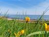 Bild 3 - Gebiet