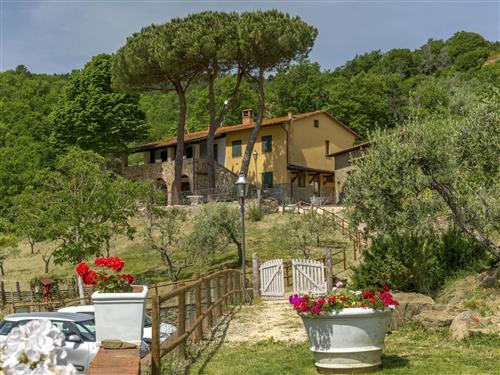 Holiday Home/Apartment - 6 persons -  - Gaiole In Chianti - 53013