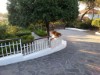 Image 3 - Outside