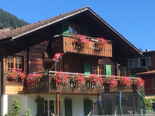 Holiday apartment - 2 persons -  - 3715 - Adelboden