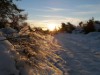 Bild 52