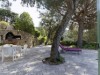 Bilde 5
