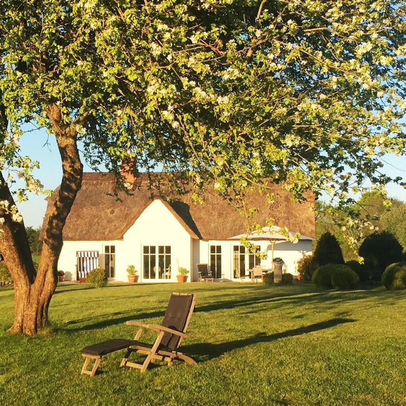 Sommerhus - 4 personer -  - Sterupgaard - 24996 - Sterup