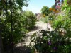 Bild 16