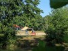 Image 40