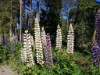 Bild 24 - Ude
