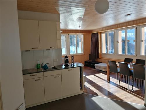 Holiday Home/Apartment - 4 persons -  - Eggweg - 3862 - Innertkirchen
