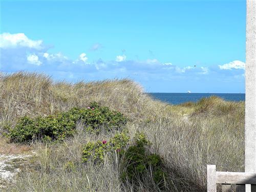 Ferienhaus - 6 Personen -  - Strandkanten - Vesterø - 9940 - Läsö