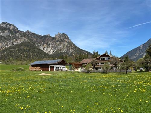 Ferielejlighed - 8 personer -  - Reichenhaller Str. - 83483 - Bischofswiesen