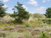 Bilde 27