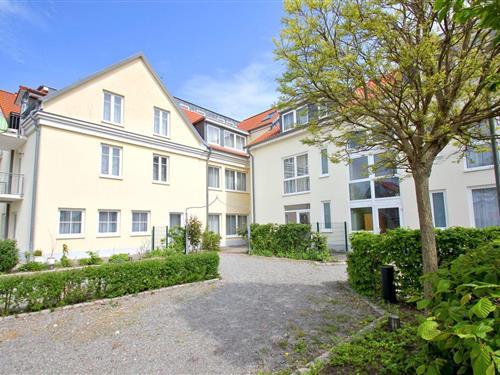 Ferienhaus - 2 Personen -  - Hauptstraße - 18556 - Wiek