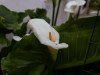 Image 25 - Outside