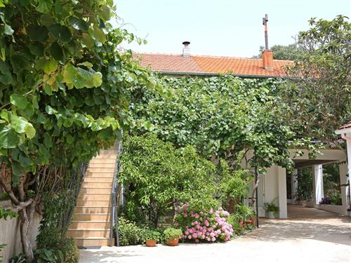Holiday apartment - 2 persons -  - Ulica Mira Bocine - 23205 - Bibinje