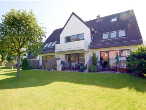 Holiday Home/Apartment - 2 persons -  - Gmelinstraße - 25938 - Wyk Auf Föhr