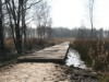 Image 31